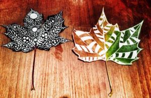 1383628_306942909448595_526072186_n