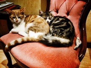 Donnie and Petra, yes, snoozing