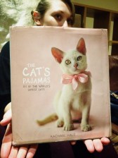 Cats pajamas